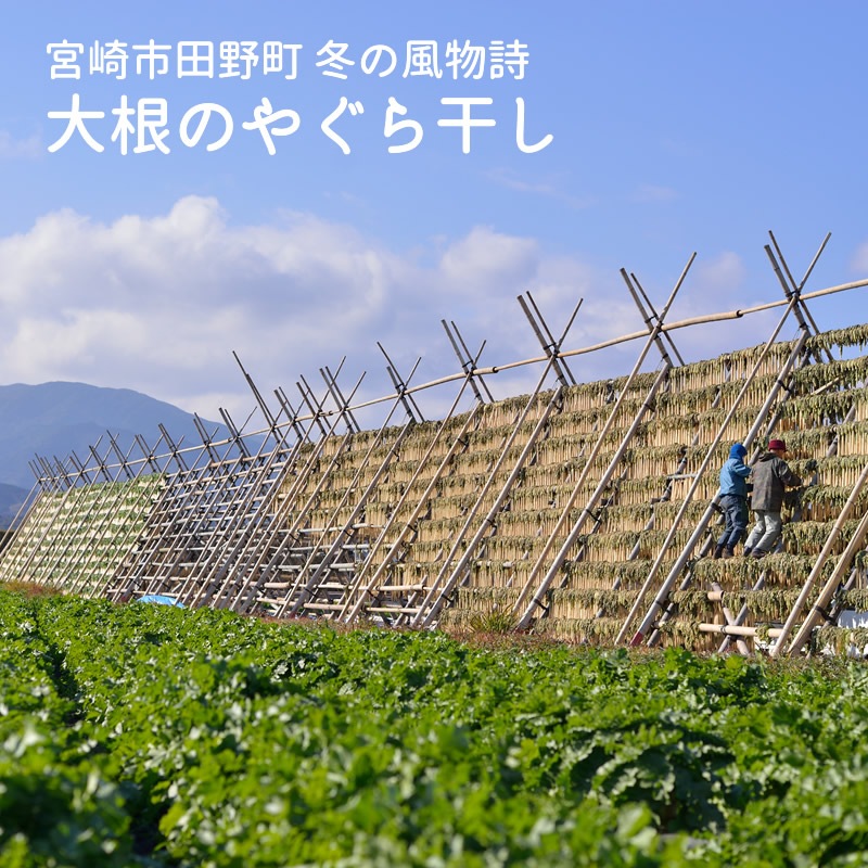 磻˹礦γޥɤ