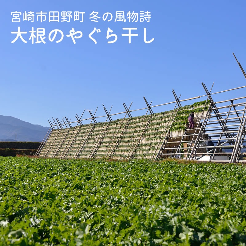 ��12��ܤ������۹��򥻥å�