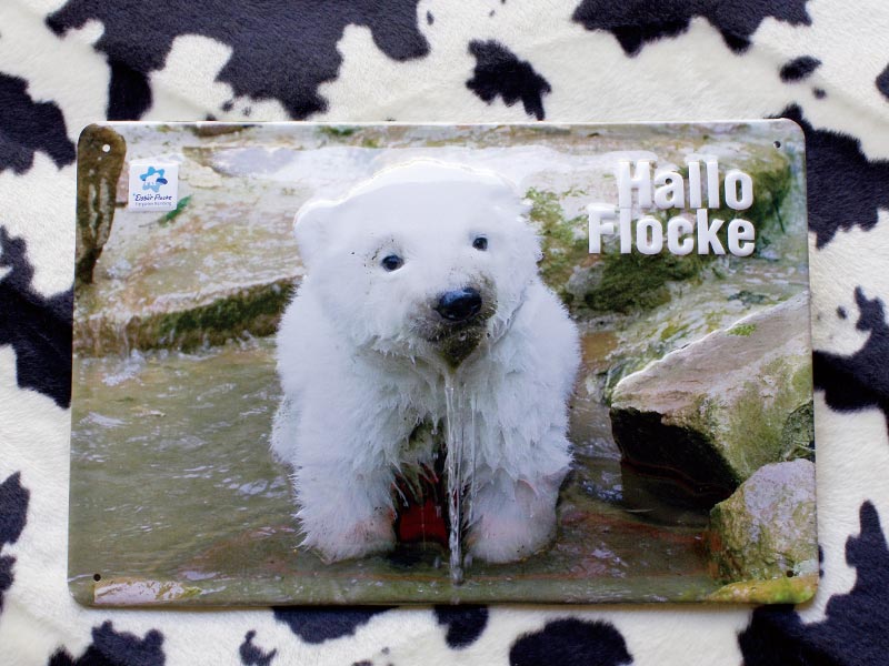 ��Hallo Flocke ����ӥС�������