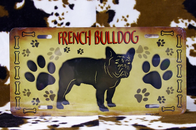 �ե����֥�ɥå� �����CM�ץ졼��