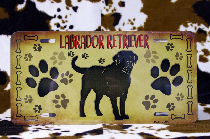 ��֥�ɡ����ȥ�С� �����CM�ץ졼��