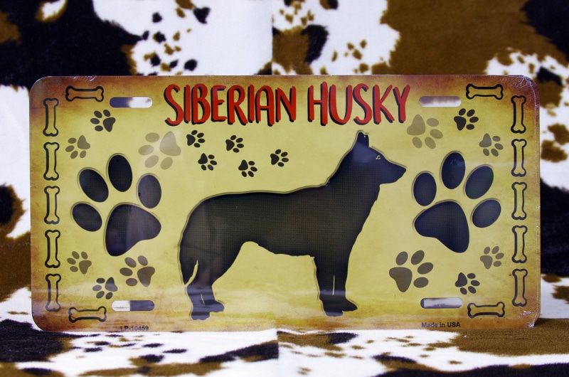 ���٥ꥢ��ϥ����� �����CM�ץ졼��