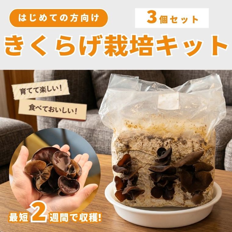 3�ĥ��åȡ����Ƥ��������ä������Ǥ��󤿤󡪽�񻺤����餲���ݥ��å�