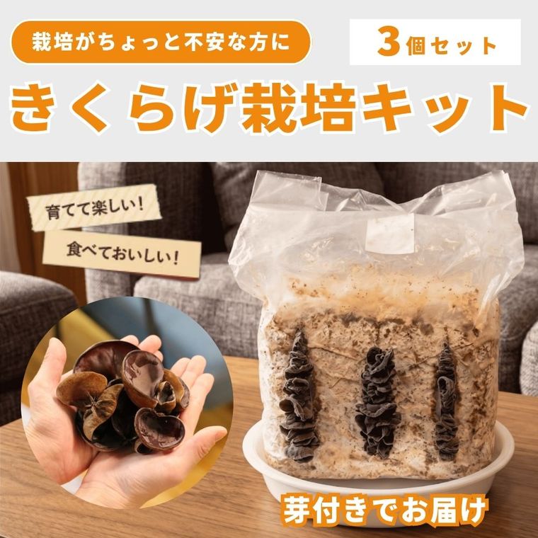 ��3�ĥ��åȡۺ��ݤ��԰¤��������ä������Ǥ��󤿤󡪽�񻺤����餲���ݥ��å�