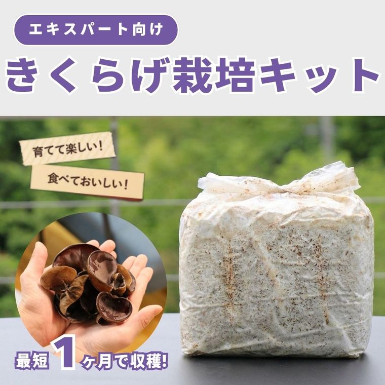 �������ѡ��ȸ�����1����Ϥ�����񻺤����餲���ݥ��å�