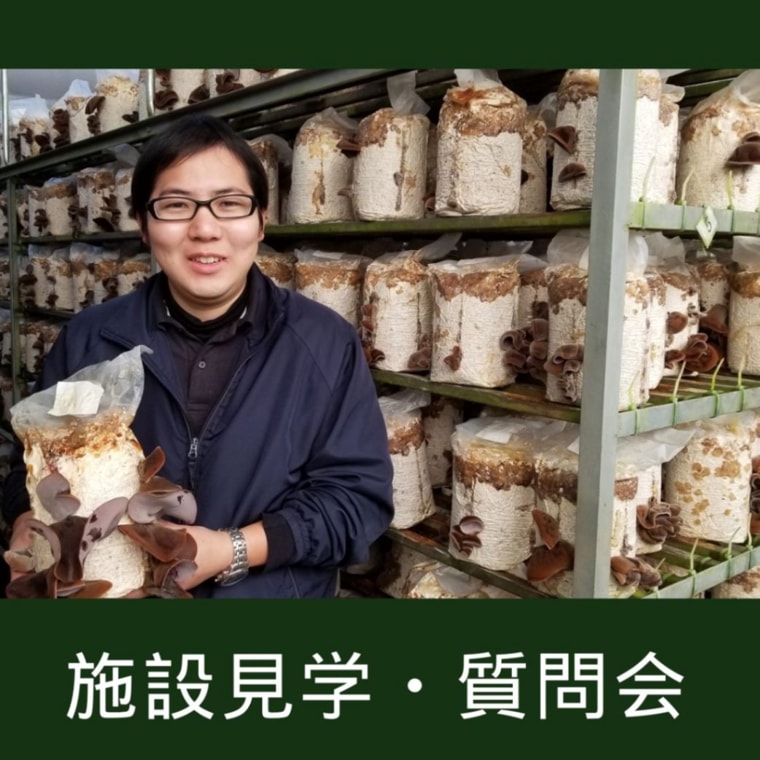 商品一覧｜肉厚ぷるぷる、コリコリ食感！純国産きくらげ通販