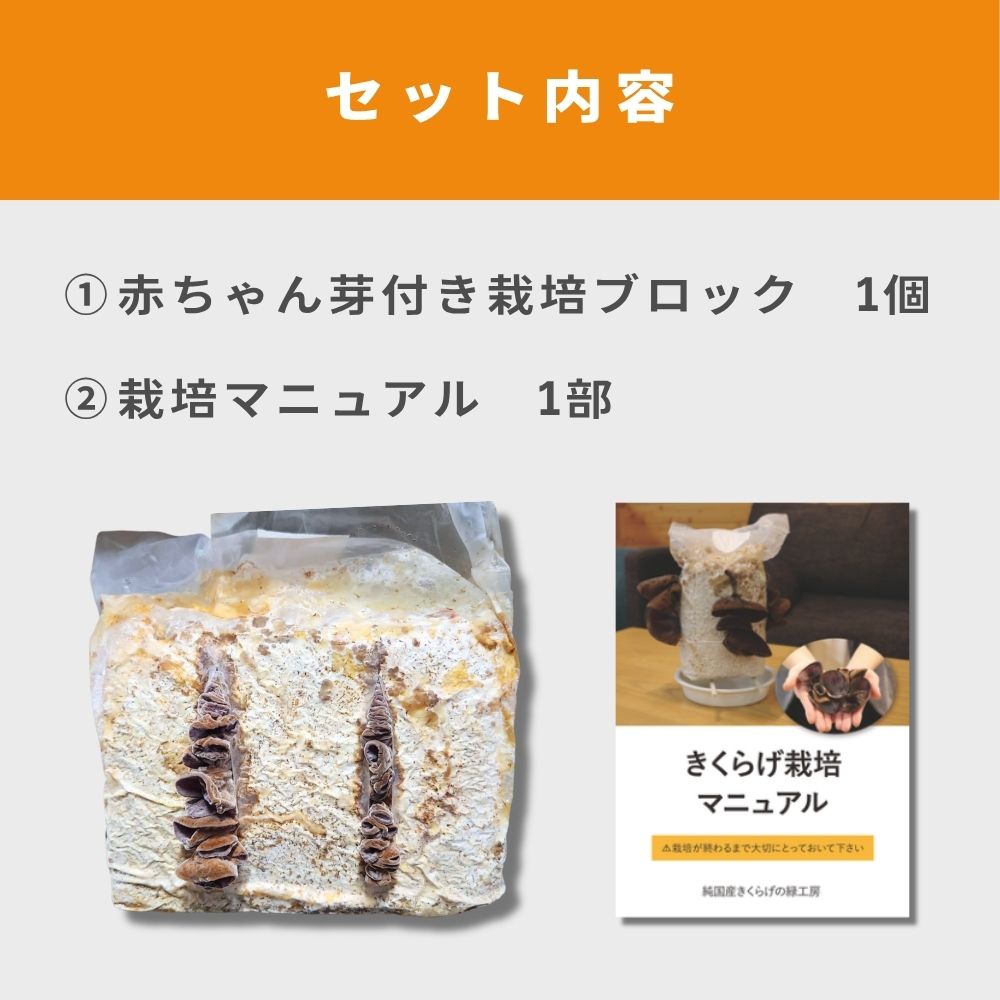 ���Ƥ��������ä������Ǥ��󤿤󡪽�񻺤����餲���ݥ��å�