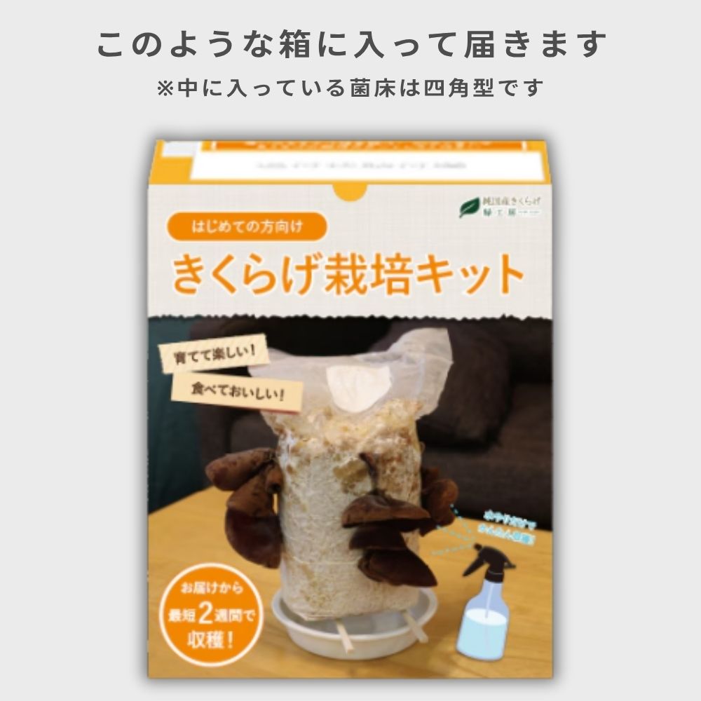 ���Ƥ��������ä������Ǥ��󤿤󡪽�񻺤����餲���ݥ��å�