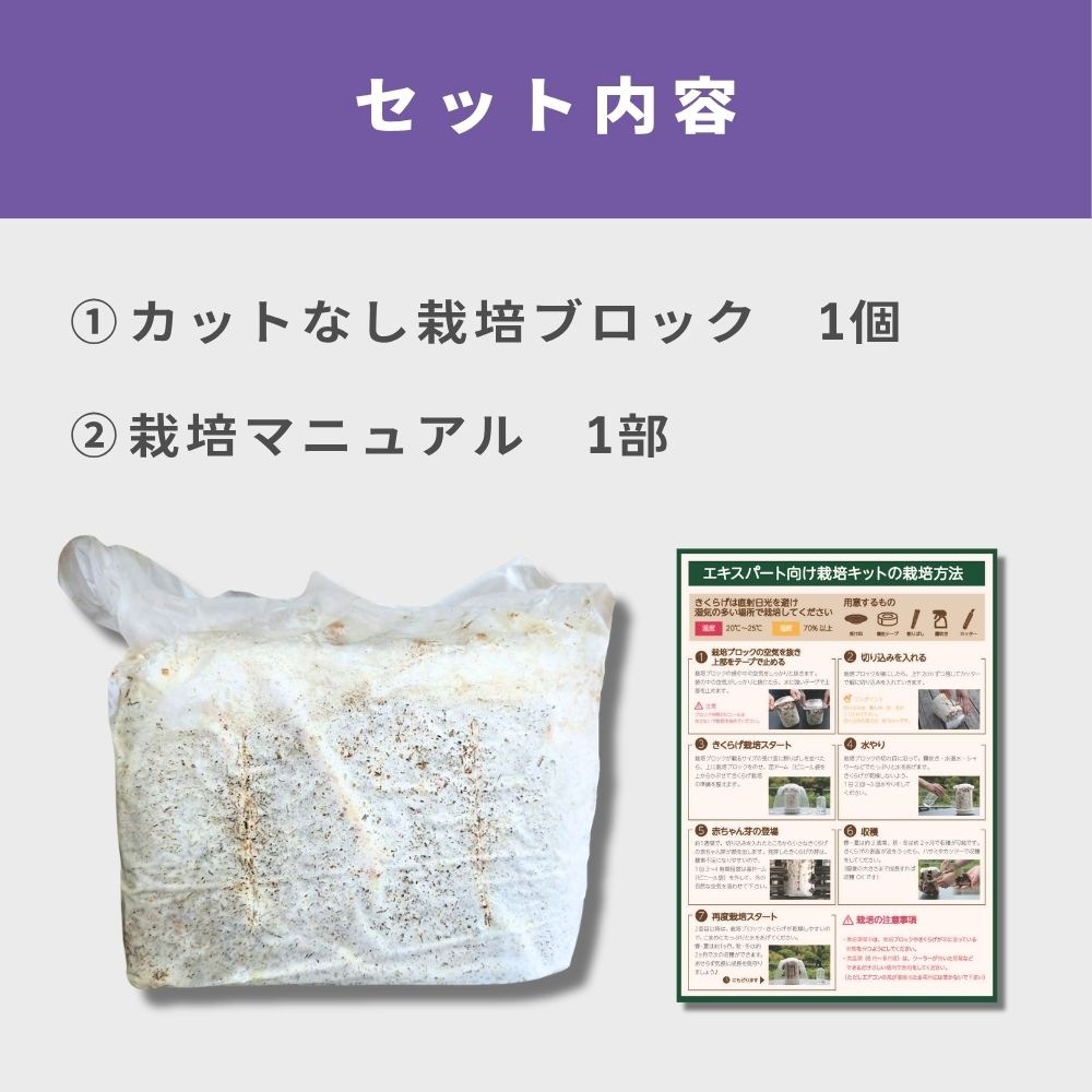 �������ѡ��ȸ�����1����Ϥ�����񻺤����餲���ݥ��å�