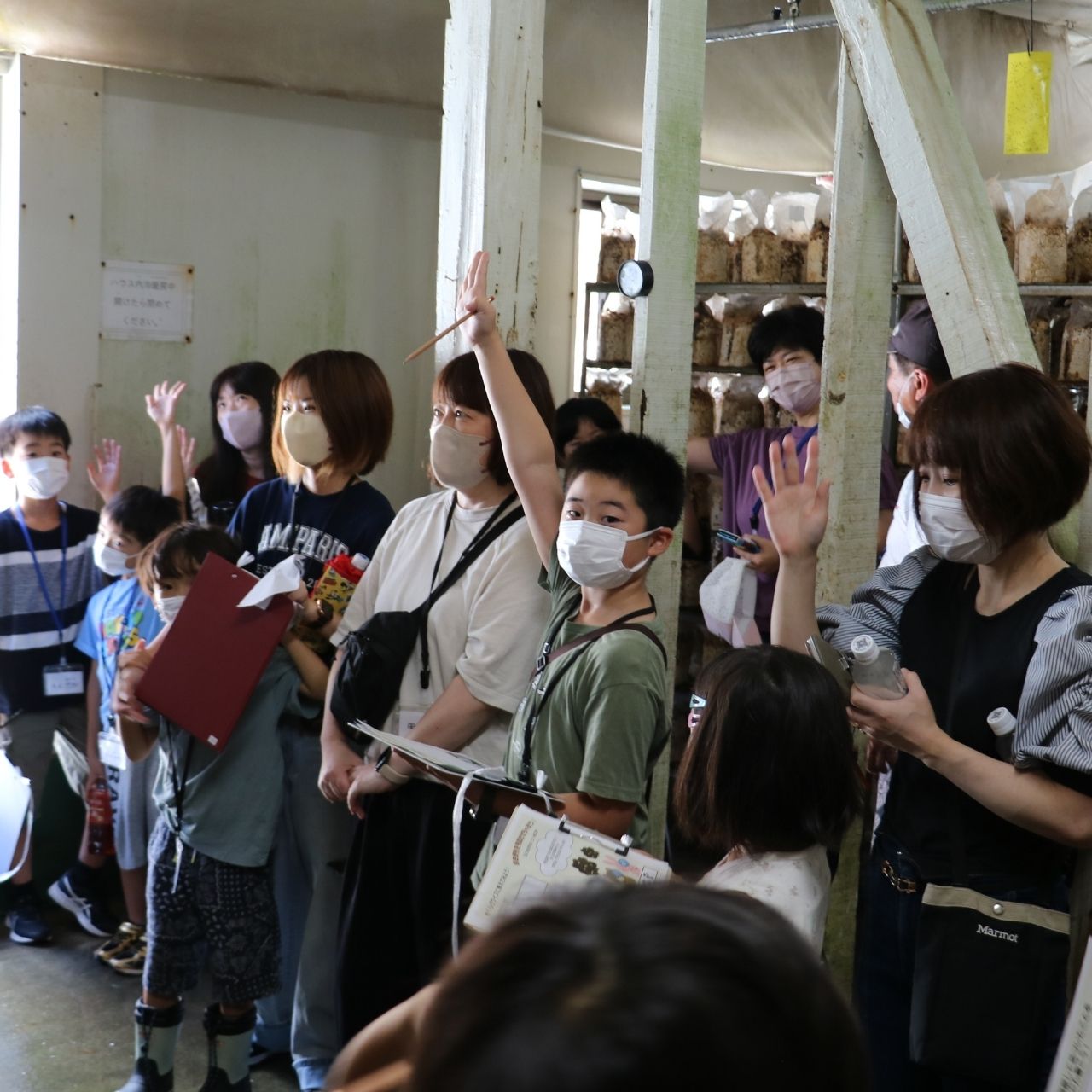 終了しました】きくらげ自由研究イベント2024お申込み