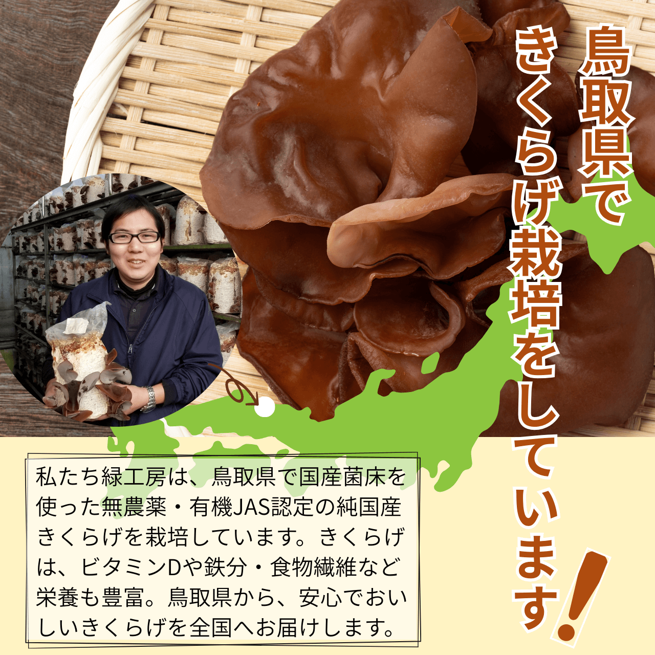 ۤ餲ѥ ʴ 100g˺Ƽڤ˱ܲåס