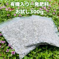 有機入り一発肥料果菜専用 お試し小分け用 300g 100g×3袋 クラピアにおすすめ K7 K5 K3 グランドカバー 元肥 追肥