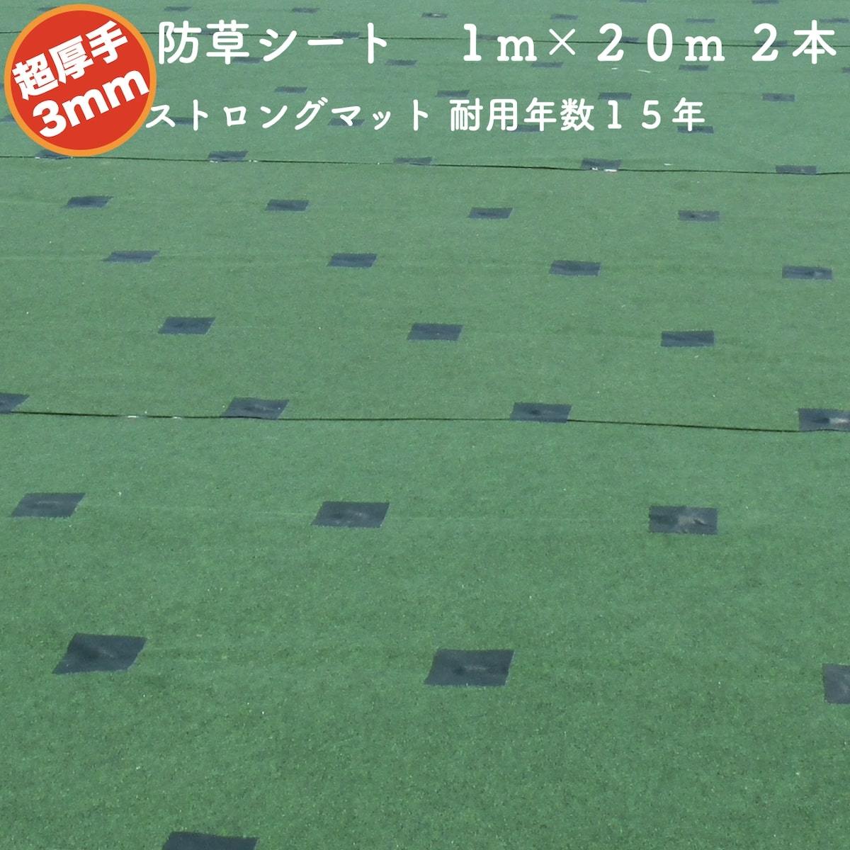 シンセイ 2m×20m ストロングマット ストロングマット 3mm厚 4573459624517 - 1