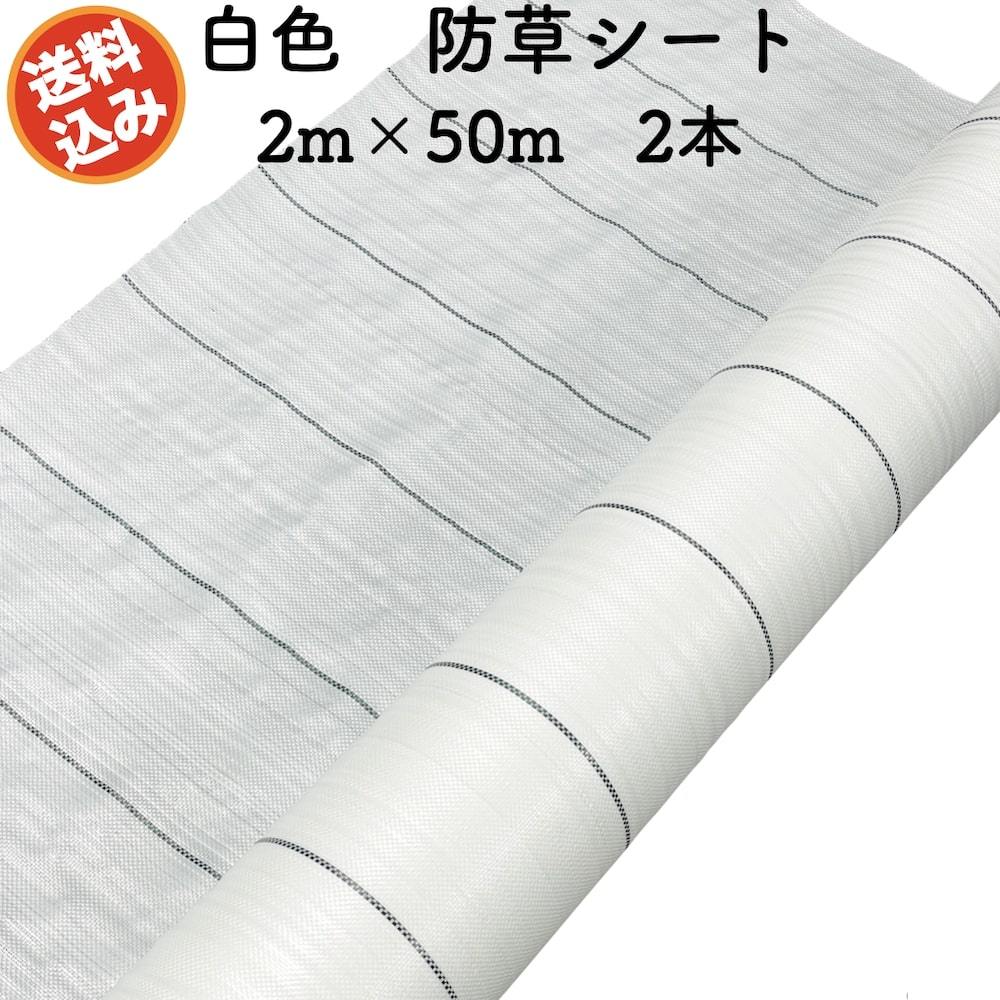 防草シート 白色（サンホワイト） 2m×50m 2本セット 抗菌剤入り