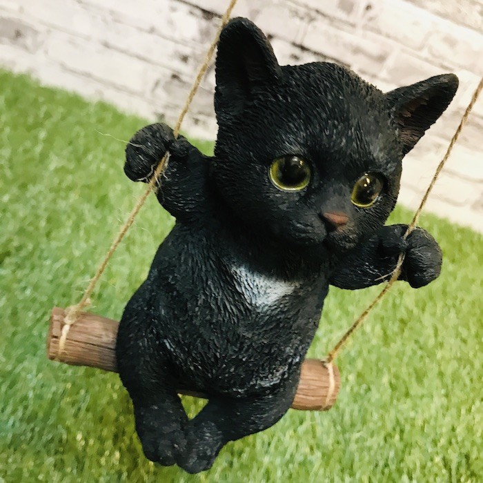 猫子猫　INUTERO黒赤XL ピンク狂気XL 2点まとめ 生後2ヶ月 子猫 仔猫 猫の写真素材 - PIXTA