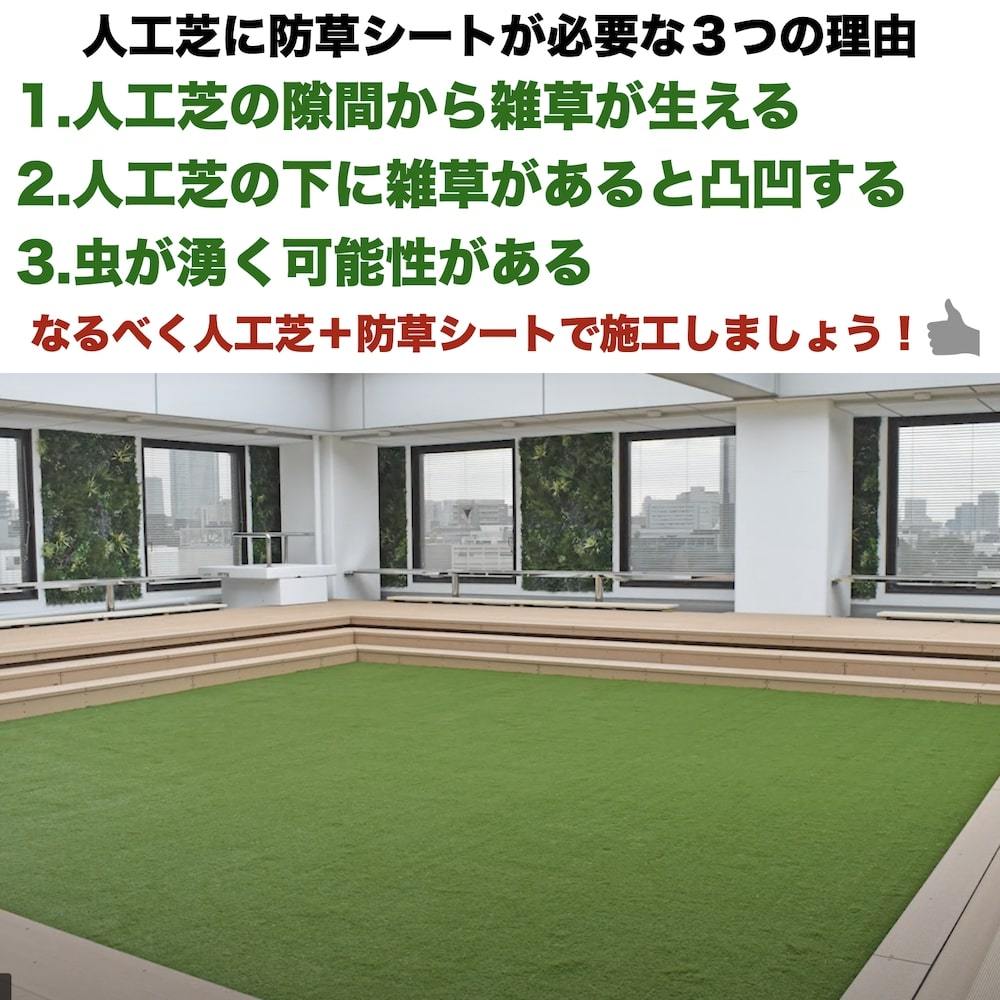高級人工芝 リアリーターフ ミドル パイル25mm 1m×10m【個人様