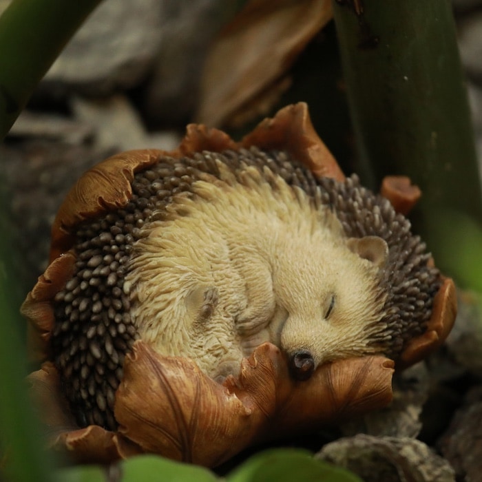 かわいい 置物 葉っぱに包まるハリネズミ woobia ウービア おしゃれ