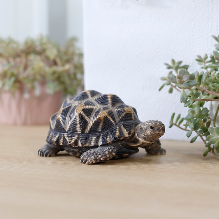 亀の置物 Amazon.co.jp: ZHIZHUO 亀の置物 カメ かわいい 置物 金の亀