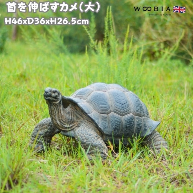 置物 首を伸ばすカメ 大 亀 高さ26.5cm woobia ウービア 大きい