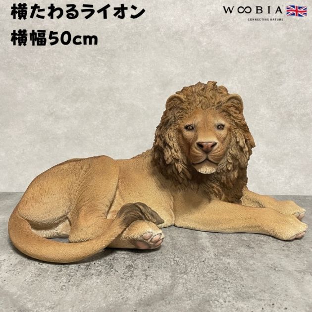 置物 横たわるライオン 高さ25cm woobia ウービア 大きい