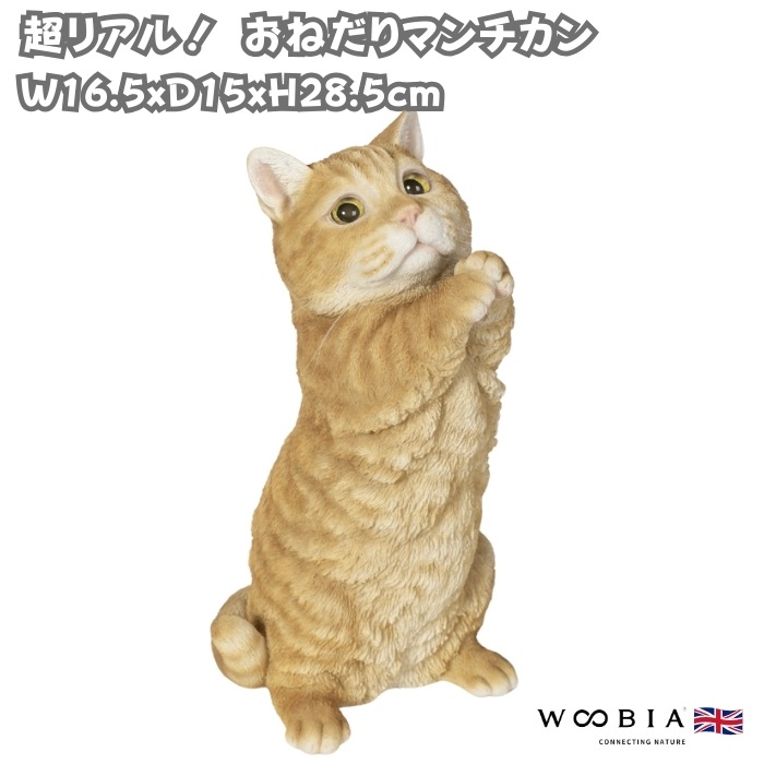 置物 おねだりマンチカン 猫 ネコ 高さ28.5cm woobia ウービア 大きい