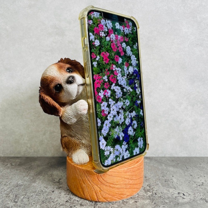 保護犬活動の為断捨離中 美品！シャープ AQUOS ホワイトホルダー付き 楽天市場】犬 トイレ用 飛散ガード プラスクリーン M 飛散防止 オス