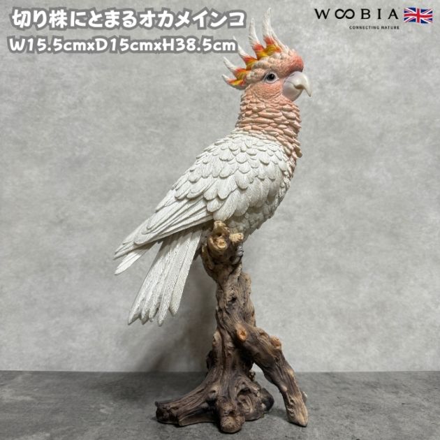 白いオウムの置物 樹脂製 高さ約30cm