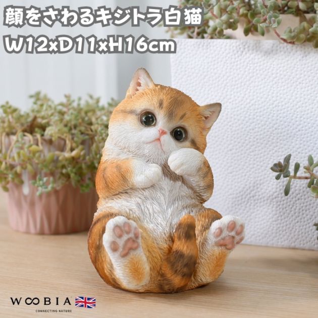 置物 顔をさわるキジトラ白猫 ネコ 高さ16cm woobia ウービア 大きい
