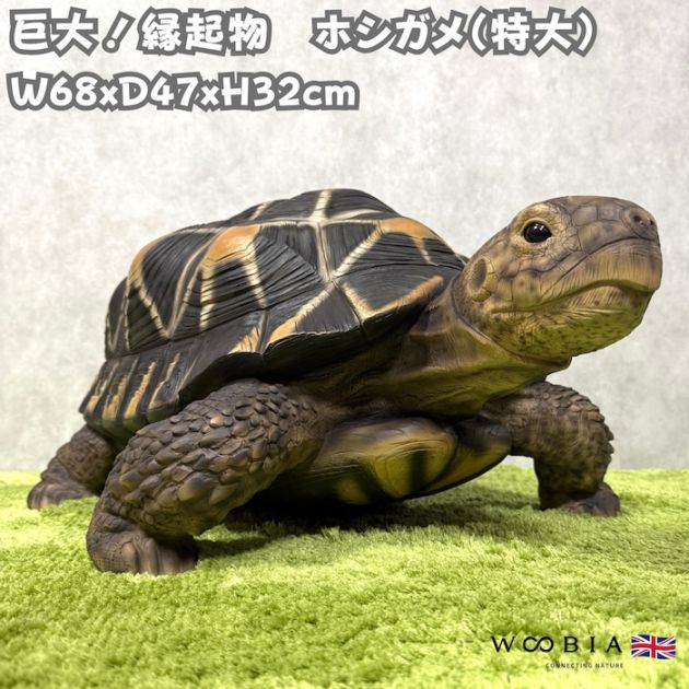 動物の置物・動物スマホスタンド,巨大な置物 | クラピアと雑草対策の