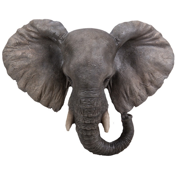 5_000000002100.jpg?1738546971 