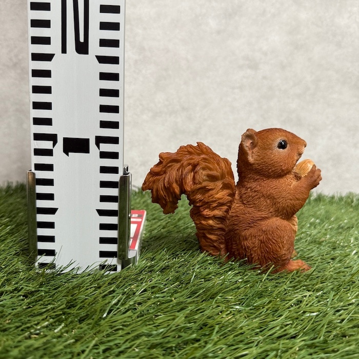 置物 松ぼっくりを掴むリス かわいい woobia ウービア おしゃれ