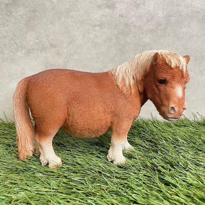 12_000000001901.jpg?1730360730