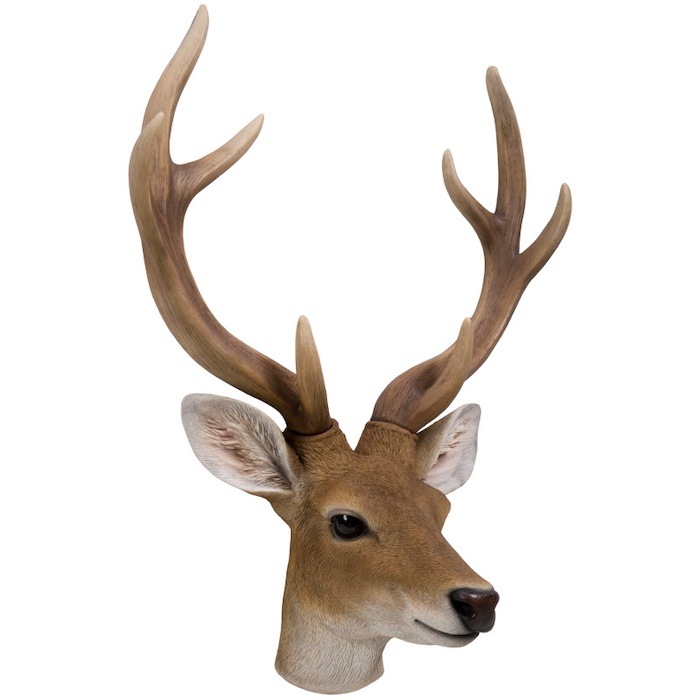 1_000000002101.jpg?1738547004