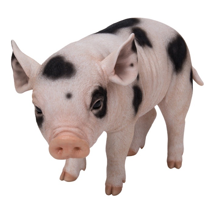 カラフルストライプの豚の置物 楽天市場】斑点模様の豚（ブラウン） Gloucester Old Spot Pig Jumbo