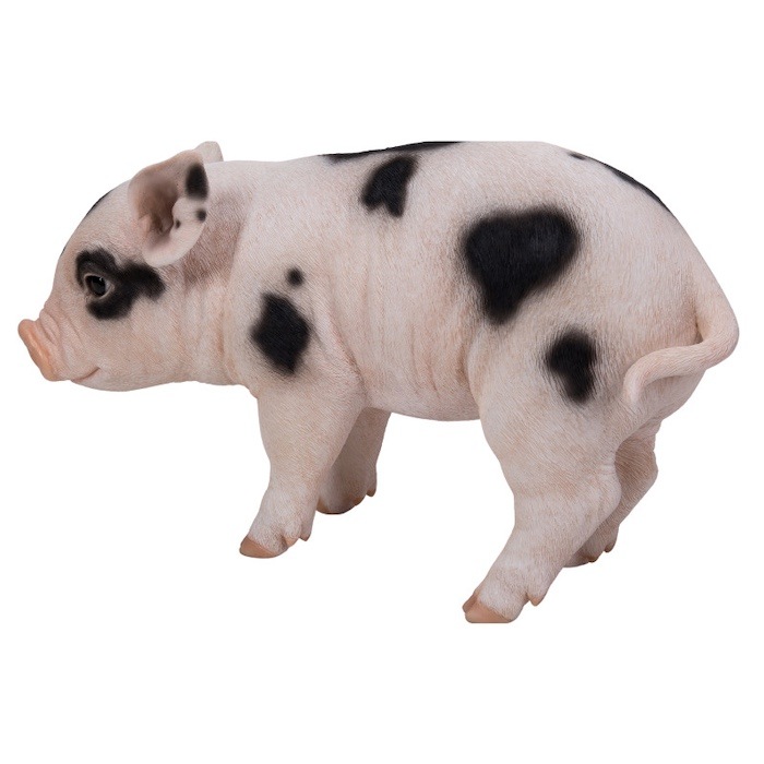 置物 ピンク・スポットの立つ子豚 ブタグッズ 高さ23.cm woobia