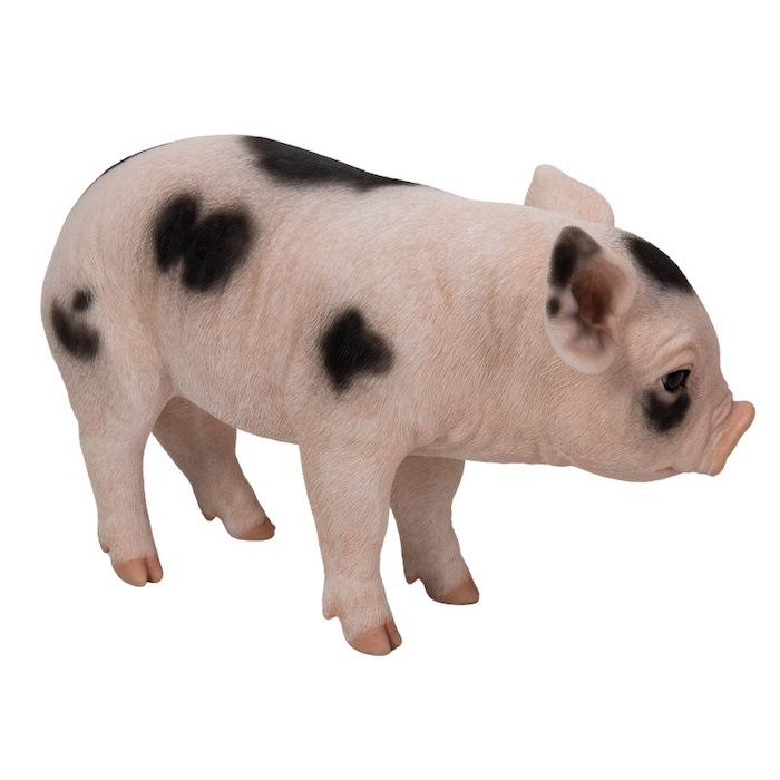 置物 ピンク・スポットの立つ子豚 ブタグッズ 高さ23.cm woobia