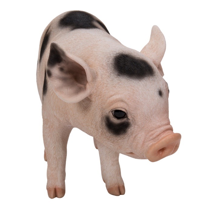 置物 ピンク・スポットの立つ子豚 ブタグッズ 高さ23.cm woobia