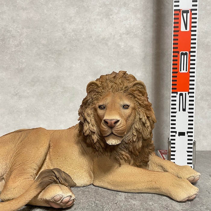 置物 横たわるライオン 高さ25cm woobia ウービア 大きい