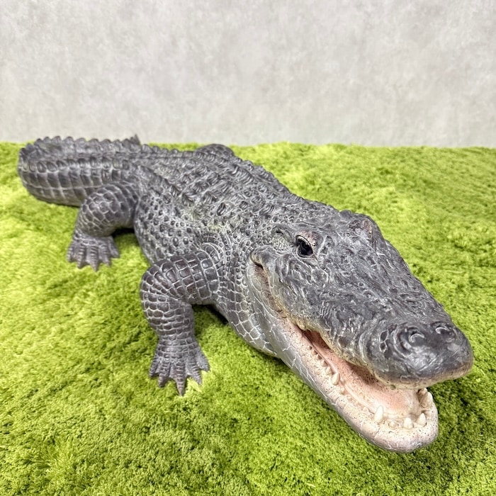 置物 餌を待つワニ 特大 横幅79.5cm 鰐 巨大オブジェ 大型 woobia