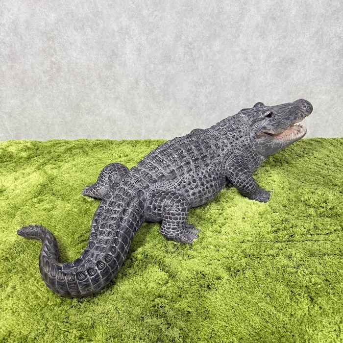 置物 餌を待つワニ 特大 横幅79.5cm 鰐 woobia ウービア 大きい