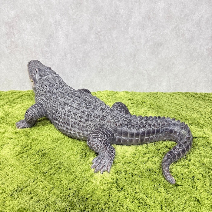 置物 餌を待つワニ 特大 横幅79.5cm 鰐 woobia ウービア 大きい