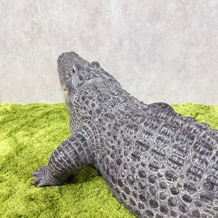 置物 餌を待つワニ 特大 横幅79.5cm 鰐 woobia ウービア 大きい