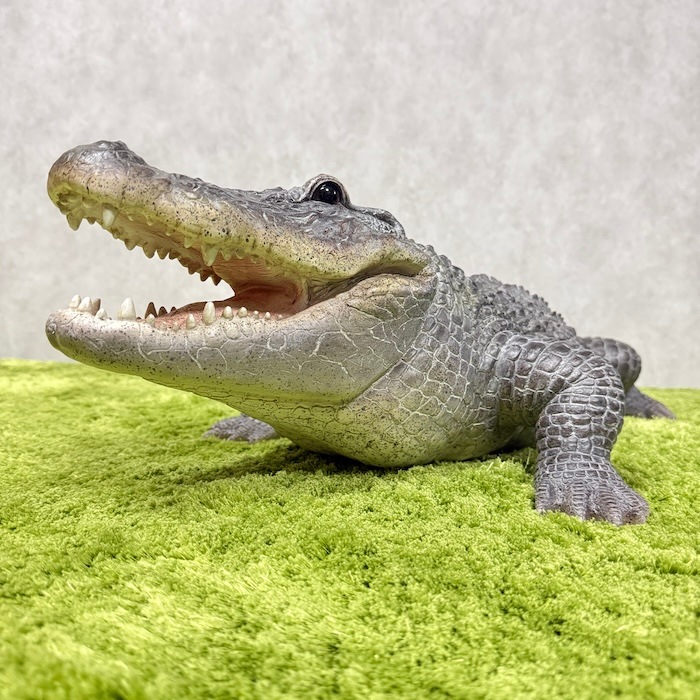 置物 餌を待つワニ 特大 横幅79.5cm 鰐 巨大オブジェ 大型 woobia