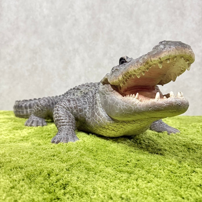 置物 餌を待つワニ 特大 横幅79.5cm 鰐 woobia ウービア 大きい