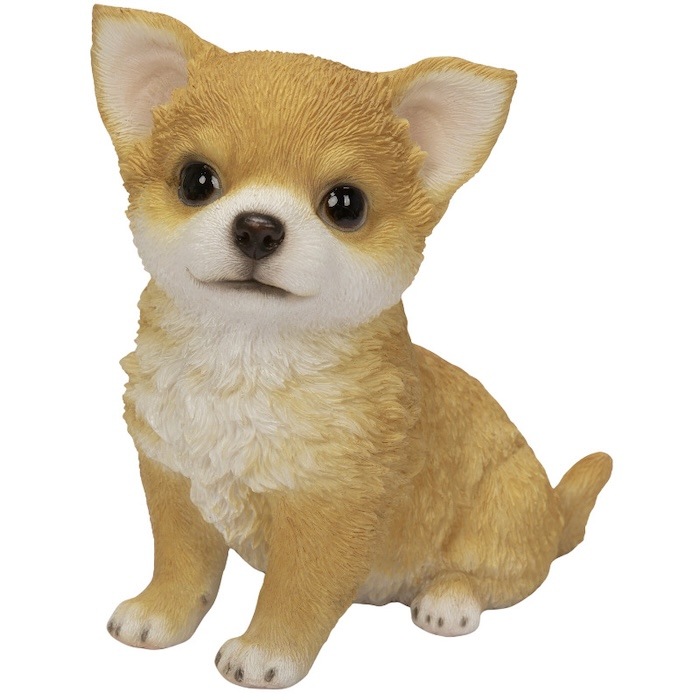 犬 置物 おしゃれ お座りチワワ レッド かわいい 動物 小さいオブジェ