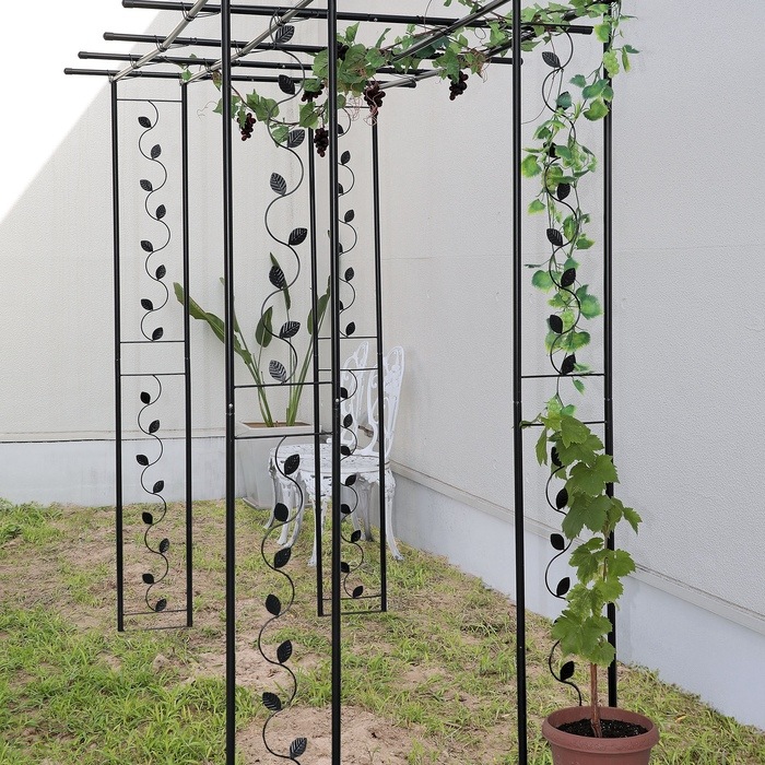 【新品❣️未使用‼️未開封‼️】果物棚セット パーゴラ　キウイ棚　葡萄棚　藤棚 Amazon | DAIM パーゴラ 果物棚 セット 幅180cm 奥行180cm 高さ