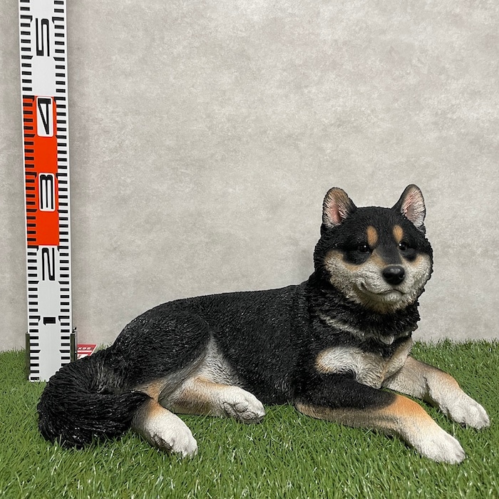 9_000000002115.jpg?1743493893