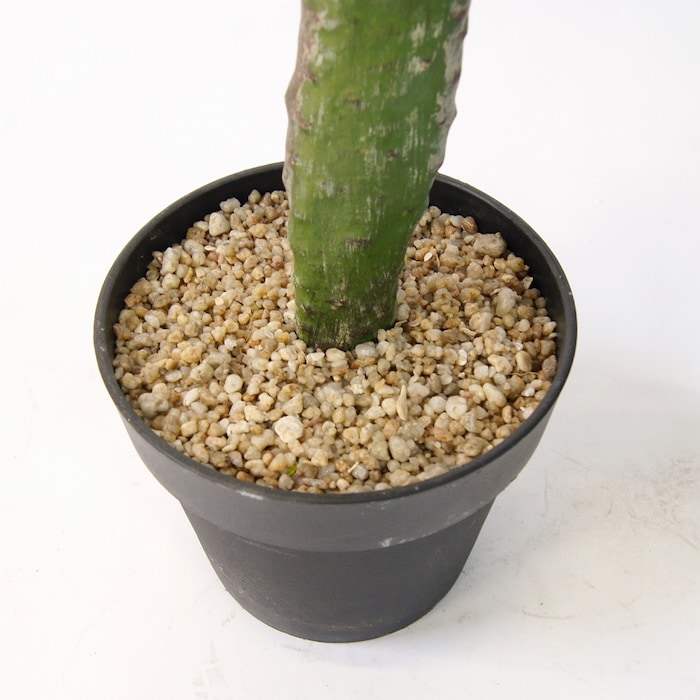 観葉植物 造花 ウチワサボテン BROWN 全高約130cm 大型 フェイク