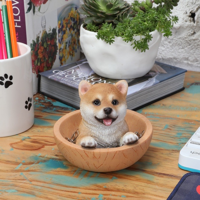 1_000000002026.jpg?1734669851