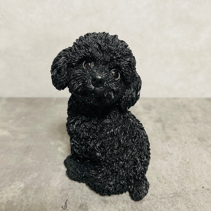 8_000000002231.jpg?1745908147